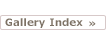 Gallery Index